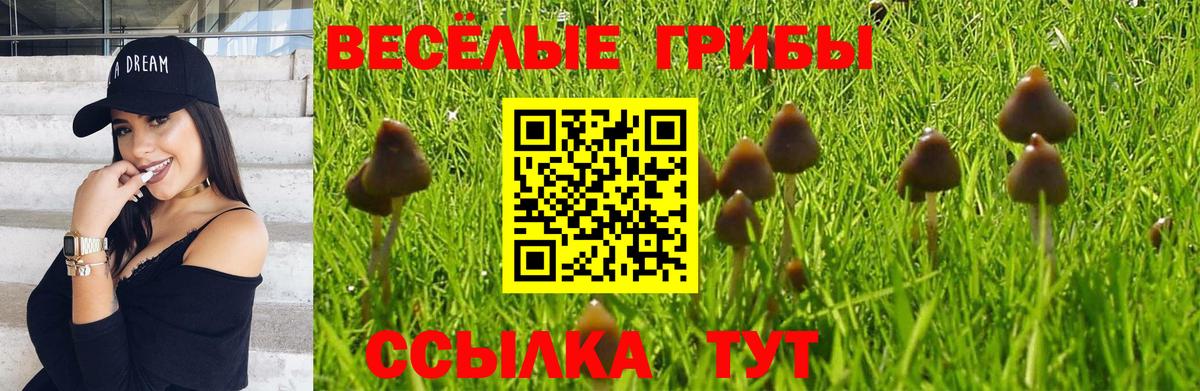 Саранск  Галлюциногенные грибы Magic Shrooms  Псилоцибиновые грибы ЛСД  Вход с VPN 