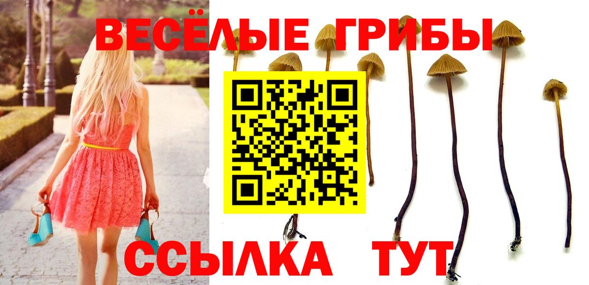Галлюциногенные грибы ЛСД Саранск