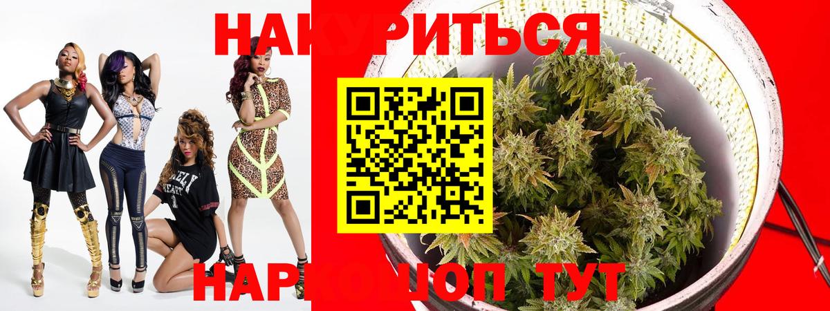 Бошки Шишки White Widow Саранск